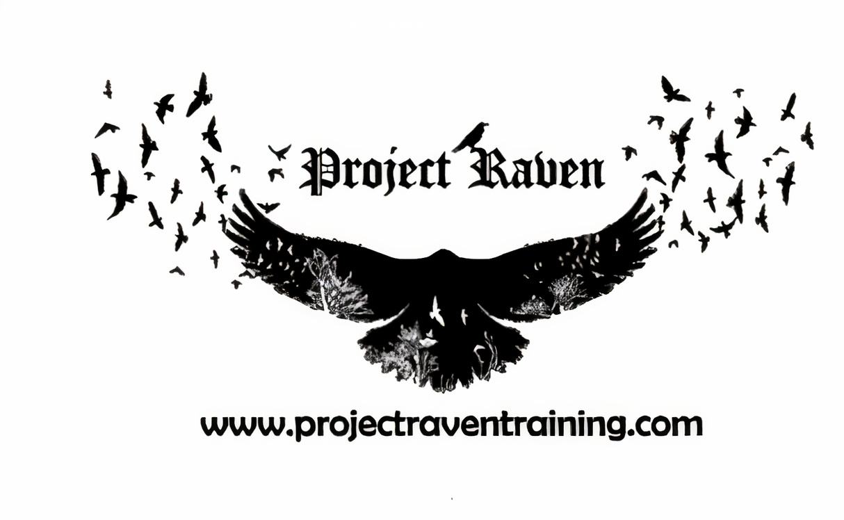 projectraventraining.com